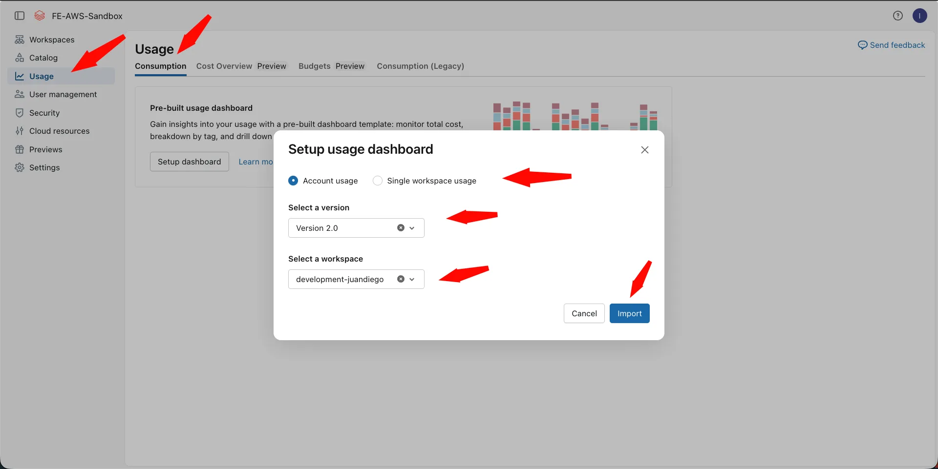 Setup usage dashboard dialog showing Account usage selected, Version 2.0, and a target workspace dropdown with the Import button highlighted