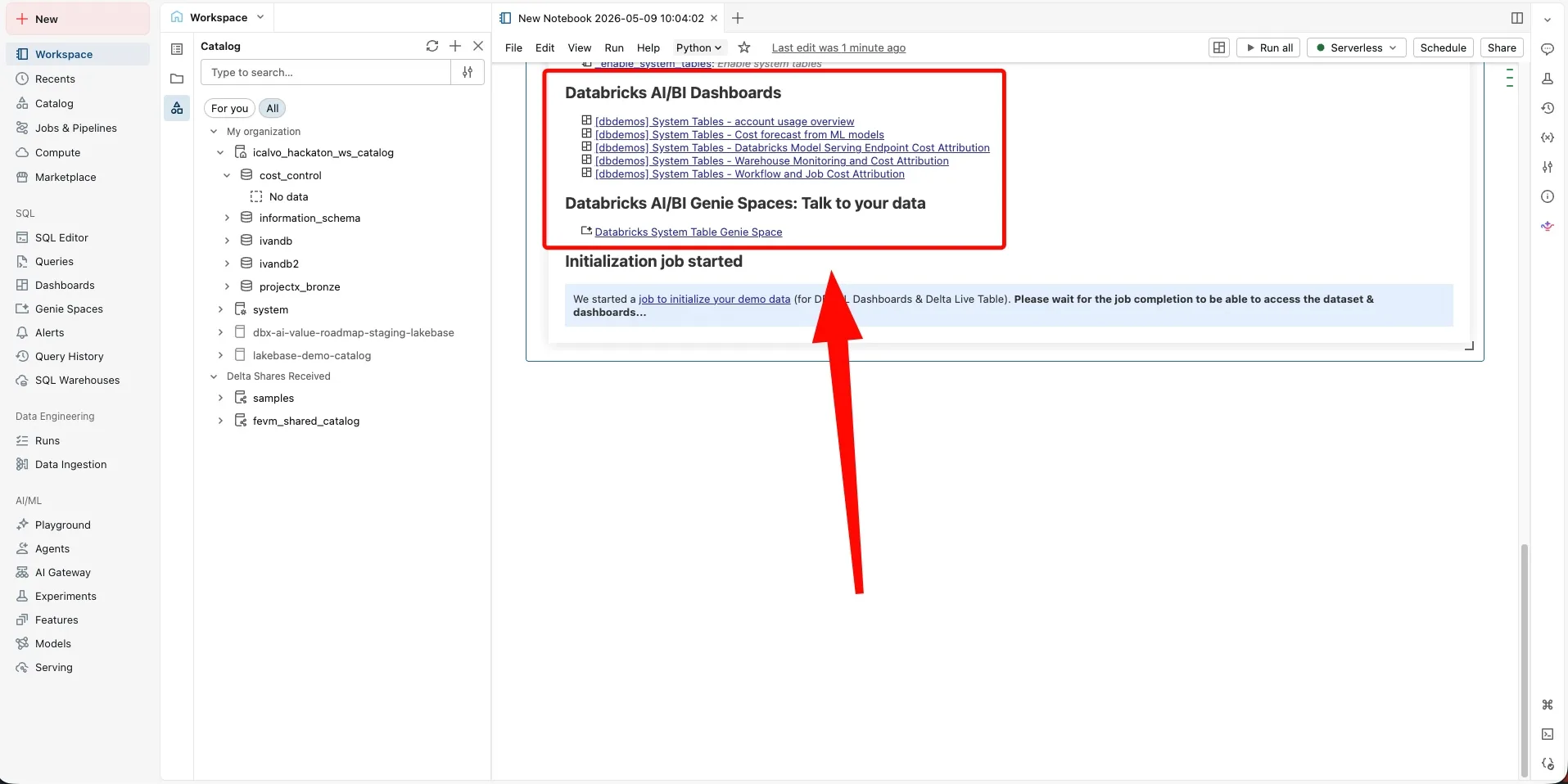 dbdemos install output listing the installed Databricks AI/BI dashboards and Genie Space for system tables