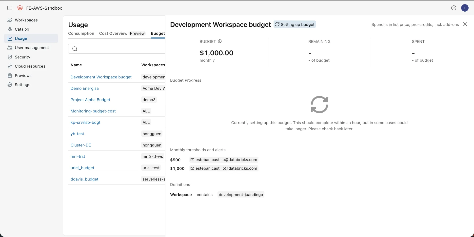 Budget detail panel showing the Development Workspace budget with monthly thresholds and alert email addresses