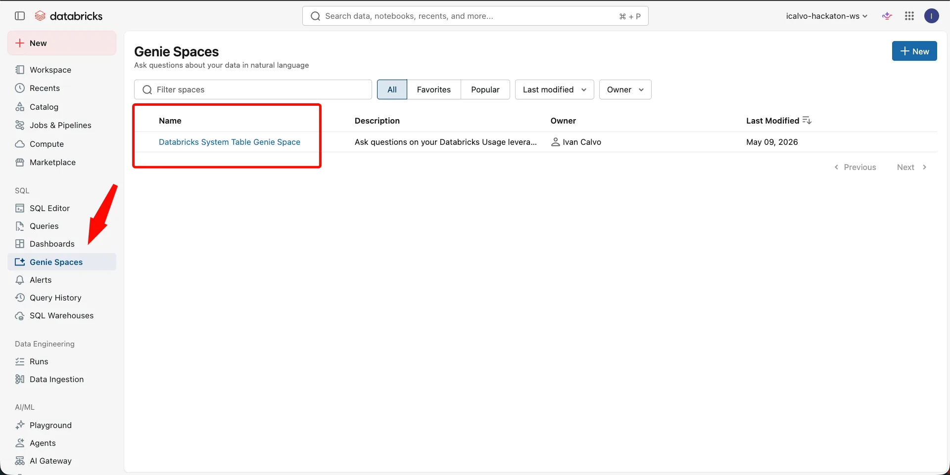 Genie Spaces page showing the installed Databricks System Table Genie Space