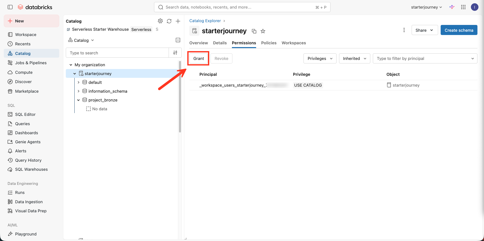 Catalog permissions tab with the Grant button