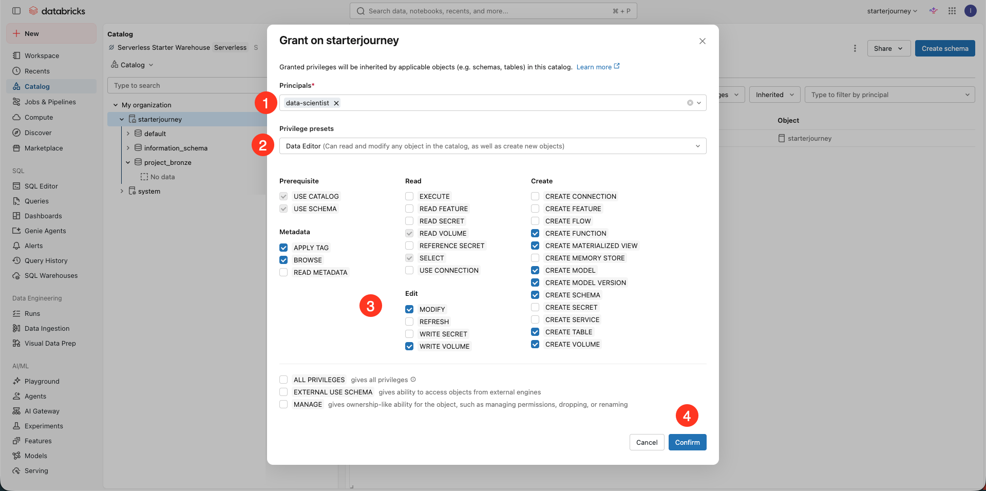 Grant dialog with the Data Editor preset selected
