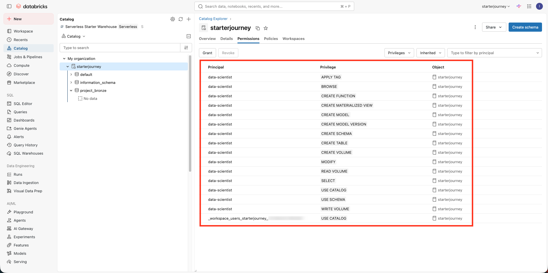 Catalog permissions tab listing the granted privileges