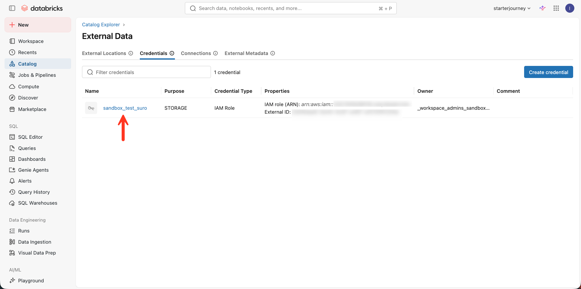 Credentials tab with a storage credential
