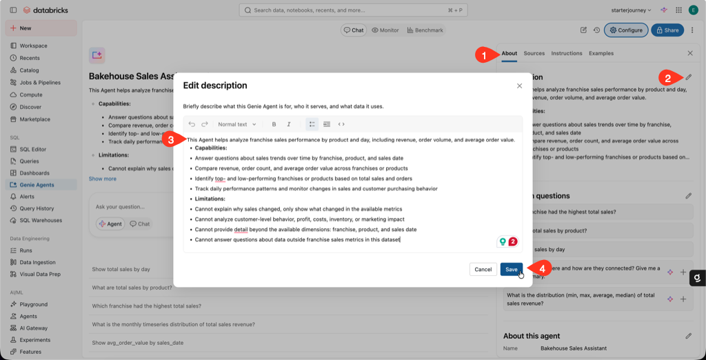 Edit description dialog describing the agent capabilities and limitations
